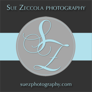 i roc design graphic design rochester ny